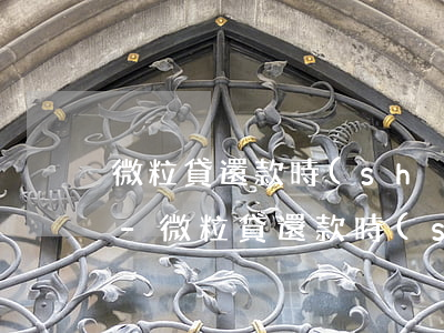 微粒貸還款時(shí)間到了怎么打不開-微粒貸還款時(shí)間到了怎么打不開了