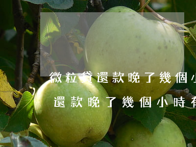 微粒貸還款晚了幾個小時有沒有事-微粒貸還款晚了幾個小時有沒有事啊