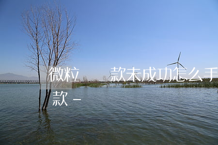 微粒貸還款未成功怎么手動(dòng)還款-