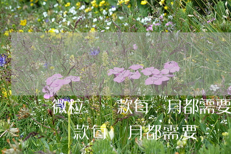 微粒貸還款每個月都需要驗證的嗎-微粒貸還款每個月都需要驗證的嗎安全嗎