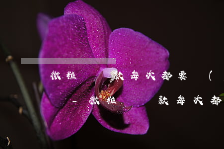 微粒貸還款每次都要驗(yàn)證銀行卡嗎-微粒貸還款每次都要驗(yàn)證銀行卡嗎安全嗎