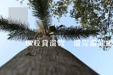 微粒貸還款沒還完還能繼續(xù)借嘛-