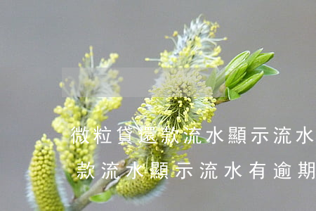 微粒貸還款流水顯示流水有逾期-微粒貸還款流水顯示流水有逾期怎么辦