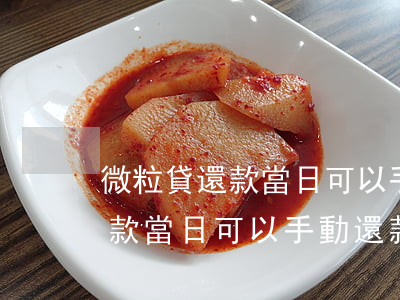 微粒貸還款當日可以手動還款嗎-微粒貸還款當日可以手動還款嗎怎么還