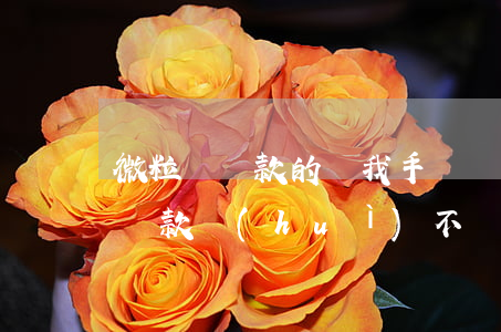 微粒貸還款的錢我手頭緊可以花嗎-微粒貸還款會(huì)不會(huì)不能借了