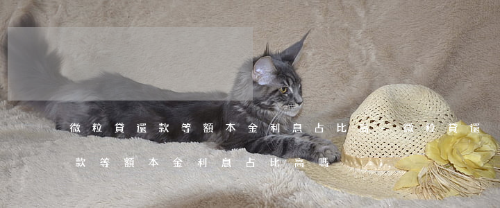 微粒貸還款等額本金利息占比高-微粒貸還款等額本金利息占比高嗎