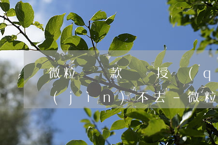 微粒貸還款簽約授權(quán)為什么進(jìn)不去-微粒貸還款簽約授權(quán)為什么進(jìn)不去了