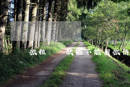 微粒貸還款能不能用微信錢包還-