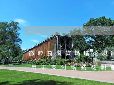 微粒貸還款螞蟻花唄能用嗎，微粒貸還款能否用于支付螞蟻花唄賬單？