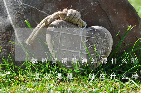 微粒貸還款通知都什么時候提醒-微粒貸有還款提醒一般在什么時候