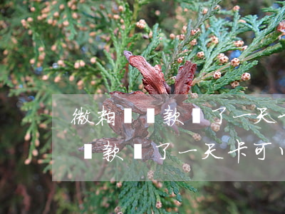 微粒貸還款遲了一天卡可以更改么-微粒貸還款遲了一天卡可以更改么嗎