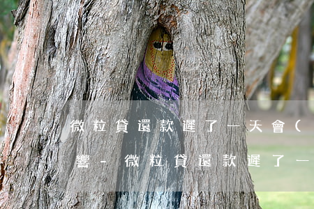 微粒貸還款遲了一天會(huì)有什么影響-微粒貸還款遲了一天會(huì)有什么影響嗎