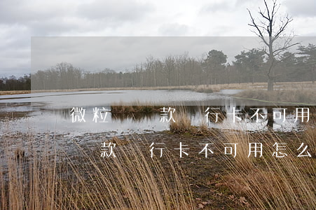 微粒貸還款銀行卡不可用怎么回事-微粒貸還款銀行卡不可用怎么回事兒