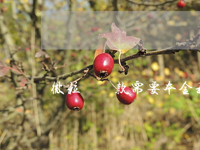 微粒貸還款需要本金利息一起嗎-