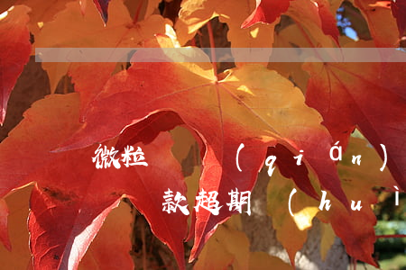微粒貸還錢(qián)逾期受影響嗎(微粒貸還款超期會(huì)怎樣?)