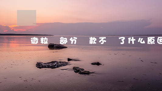 微粒貸部分還款不見了什么原因-
