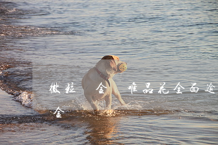 微粒貸金條唯品花全面逾期怎么辦-微粒貸 金條