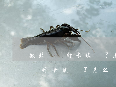 微粒貸銀行卡填錯了怎么讓我還款-微粒貸銀行卡填錯了怎么讓我還款呢