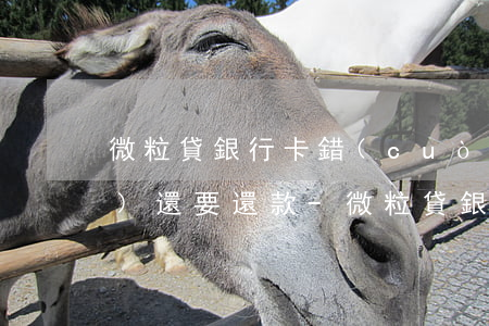 微粒貸銀行卡錯(cuò)誤凍結(jié)還要還款-微粒貸銀行卡錯(cuò)誤凍結(jié)還要還款嗎