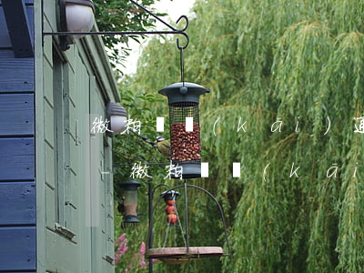 微粒貸開(kāi)通了貸款1元怎么還款-微粒貸開(kāi)通了貸款1元怎么還款呢