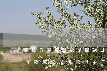 微粒貸零錢還款是還款日第二天嗎-微粒貸零錢還款是還款日第二天嗎
