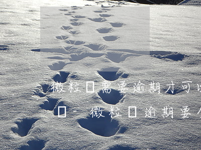 微粒貸需要逾期才可以協(xié)商還款嗎-微粒貸逾期要全部結(jié)清借款