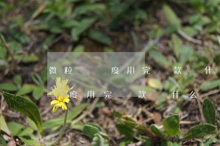 微粒貸額度用完還款為什么沒額度-微粒貸額度用完還款為什么沒額度了