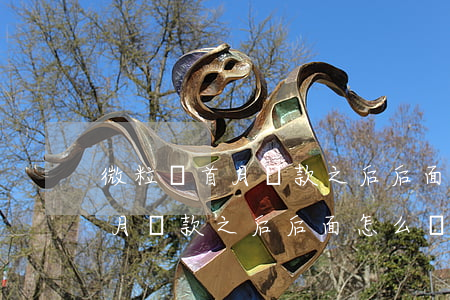 微粒貸首月還款之后后面怎么辦-微粒貸首月還款之后后面怎么辦理