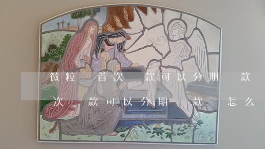 微粒貸首次還款可以分期還款嗎-微粒貸首次還款可以分期還款嗎怎么還