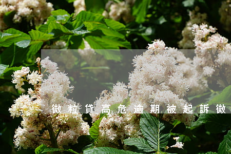微粒貸高危逾期被起訴(微粒貸逾期警告)