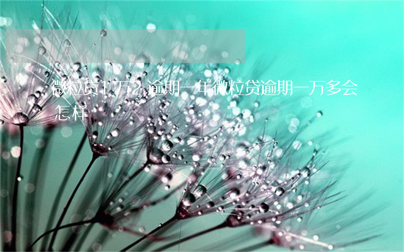 微粒贷1万2逾期一年(微粒贷逾期一万多会怎样)