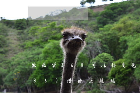 微粒贷360可以协商免息分期吗-微粒贷360借条正规吗