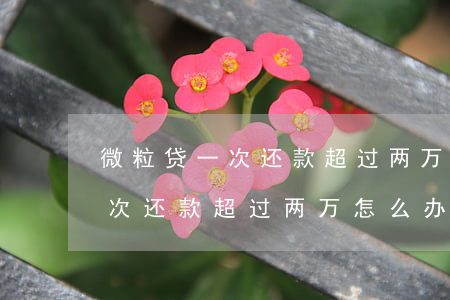微粒贷一次还款超过两万怎么办-微粒贷一次还款超过两万怎么办啊