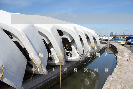 微粒贷不小心逾期8天(微粒贷逾期8天会有什么后果?,有奖问答)