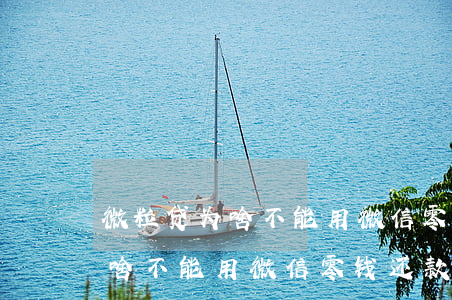 微粒贷为啥不能用微信零钱还款-微粒贷为啥不能用微信零钱还款了