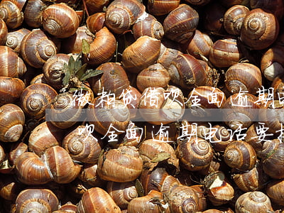 微粒贷借呗全面逾期电话要接吗-微粒贷借呗全面逾期电话要接吗是真的吗