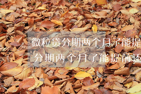 微粒贷分期两个月了能提前还款吗-微粒贷分期两个月了能提前还款吗安全吗