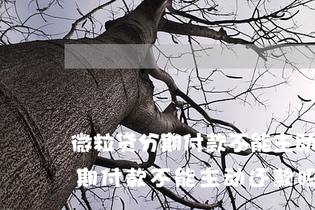 微粒贷分期付款不能主动还款吗-微粒贷分期付款不能主动还款吗为什么