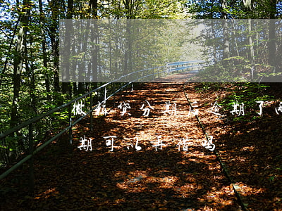 微粒贷分期后逾期了两期(微粒贷分期还了一期可以再借吗)