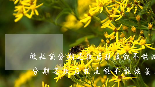 微粒贷分期还款后额度能不能恢复-微粒贷分期还款后额度能不能恢复正常
