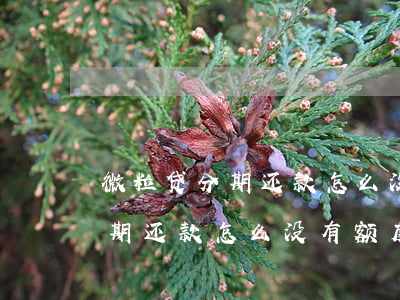 微粒贷分期还款怎么没有额度了-微粒贷分期还款怎么没有额度了呢