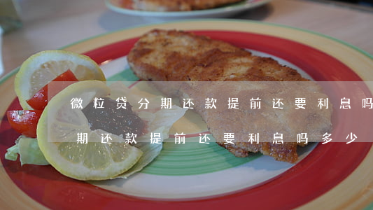 微粒贷分期还款提前还要利息吗-微粒贷分期还款提前还要利息吗多少