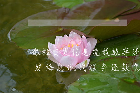 微粒贷发信息说我放弃还款怎么办-微粒贷发信息说我放弃还款怎么办呢