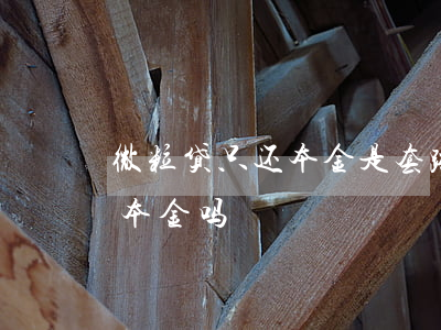 微粒贷只还本金是套路(微粒贷可以申请只还本金吗)