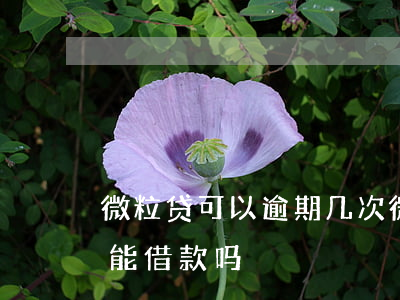 微粒贷可以逾期几次(微粒贷逾期几次现在还能借款吗)