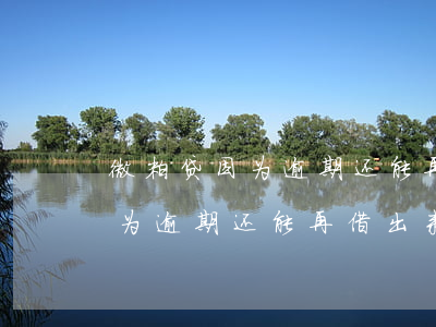 微粒贷因为逾期还能再借出来吗-微粒贷因为逾期还能再借出来吗安全吗