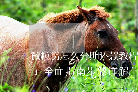 微粒贷怎么分期还款教程，「微粒贷分期还款」全面指南：步骤详解与注意事项