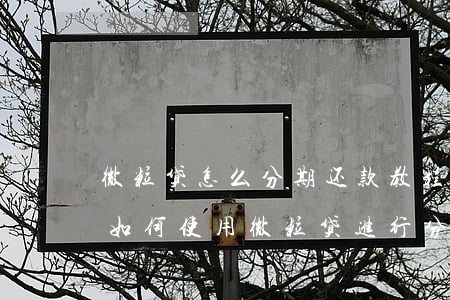 微粒贷怎么分期还款教程图片，【图文教程】如何使用微粒贷进行分期还款？