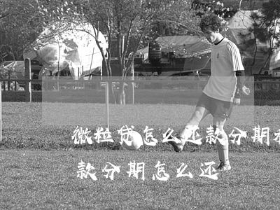 微粒贷怎么还款分期利息怎么算-微粒贷还款分期怎么还
