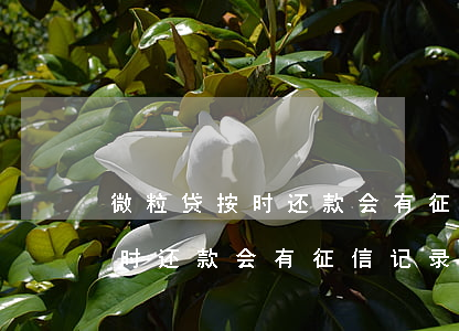 微粒贷按时还款会有征信记录吗-微粒贷按时还款会有征信记录吗怎么办